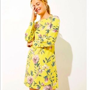 Loft Floral Shift Dress.  New with tags.
